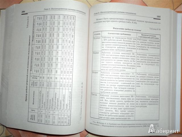 Иллюстрация 27 из 33 для Оценка эффективности работы с персоналом: методологический подход - Одегов, Абдурахманов, Котова | Лабиринт - книги. Источник: Тиль