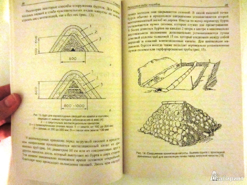 Иллюстрация 3 из 6 для Как построить и оборудовать погреб - Клаудия Лоренц-Ладенер | Лабиринт - книги. Источник: Alien