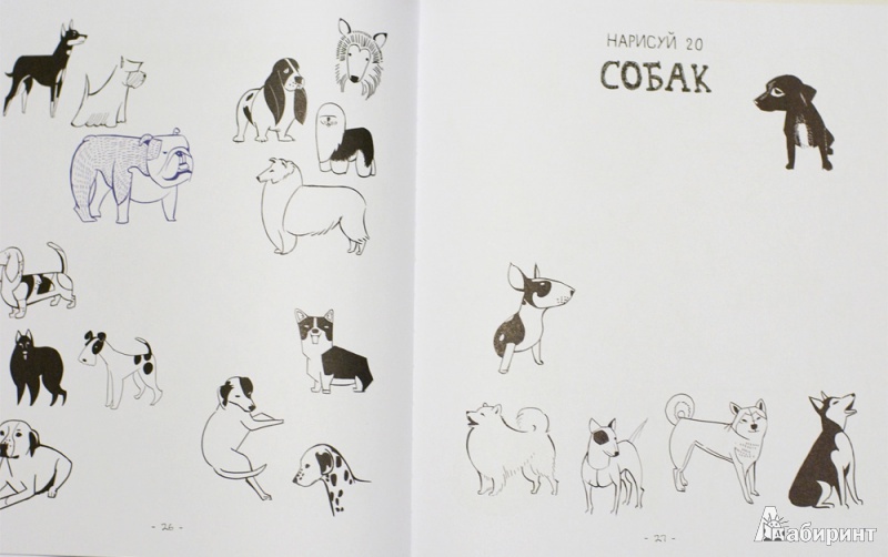 Иллюстрация 10 из 31 для 20 способов нарисовать кошку и 44 других удивительных животных - Джулия Куо | Лабиринт - книги. Источник: mangust