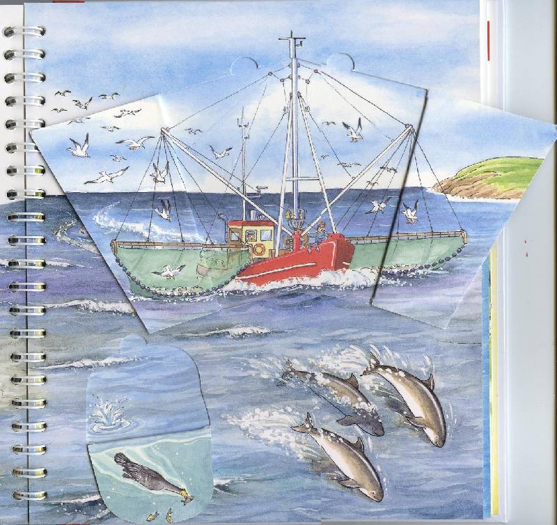 Иллюстрация 28 из 58 для На море - Андреа Эрне | Лабиринт - книги. Источник: Igra