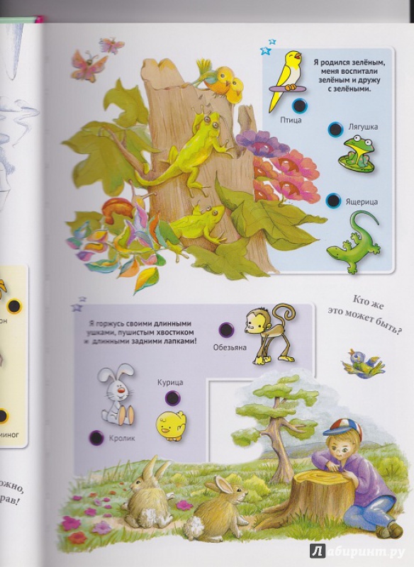 Иллюстрация 24 из 42 для Для малышей загадки о животных | Лабиринт - книги. Источник: Моисеева  Ирина