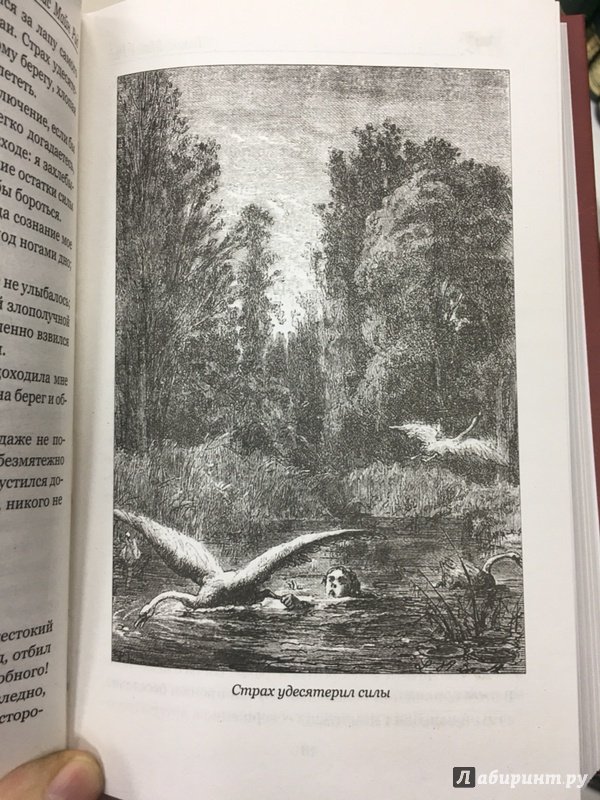 Иллюстрация 30 из 55 для Морской волчонок, или на дне трюма. Скитальцы Борнео, или Капитан Редвуд - Рид Майн | Лабиринт - книги. Источник: Lina