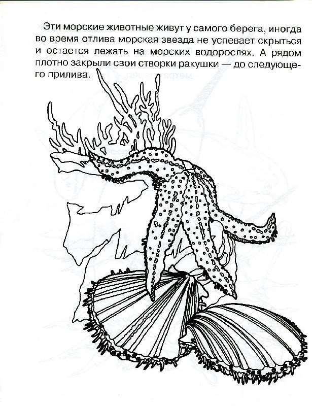 Иллюстрация 4 из 4 для Раскрась и узнаешь морских обитателей | Лабиринт - книги. Источник: РИВА