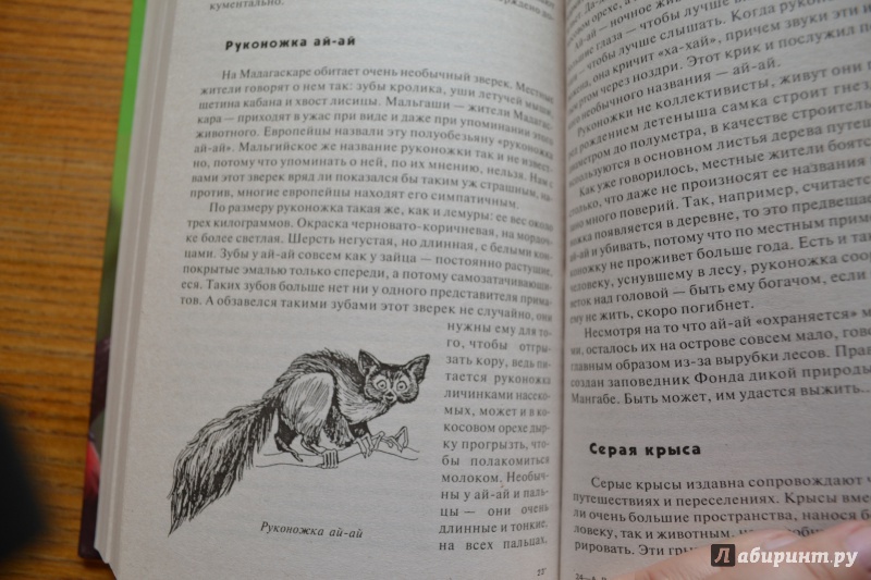 Иллюстрация 44 из 61 для Мир животных пяти континентов - Анатолий Степура | Лабиринт - книги. Источник: Белоус Марина