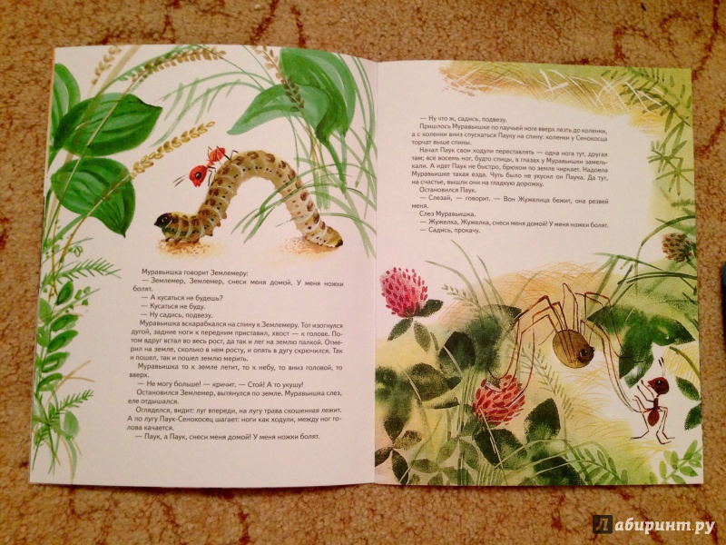 Иллюстрация 8 из 33 для Как муравьишка домой спешил - Виталий Бианки | Лабиринт - книги. Источник: Псевдоним