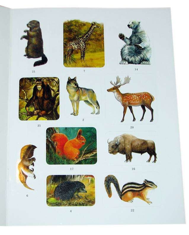 Иллюстрация 3 из 4 для Животные - А. Бугаев | Лабиринт - книги. Источник: *Мария*