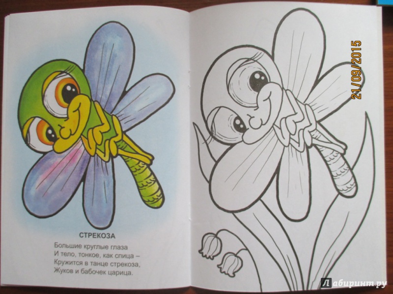 Иллюстрация 20 из 20 для Знаешь ли ты насекомых? - Наталья Томилина | Лабиринт - книги. Источник: Марина Епифанцева