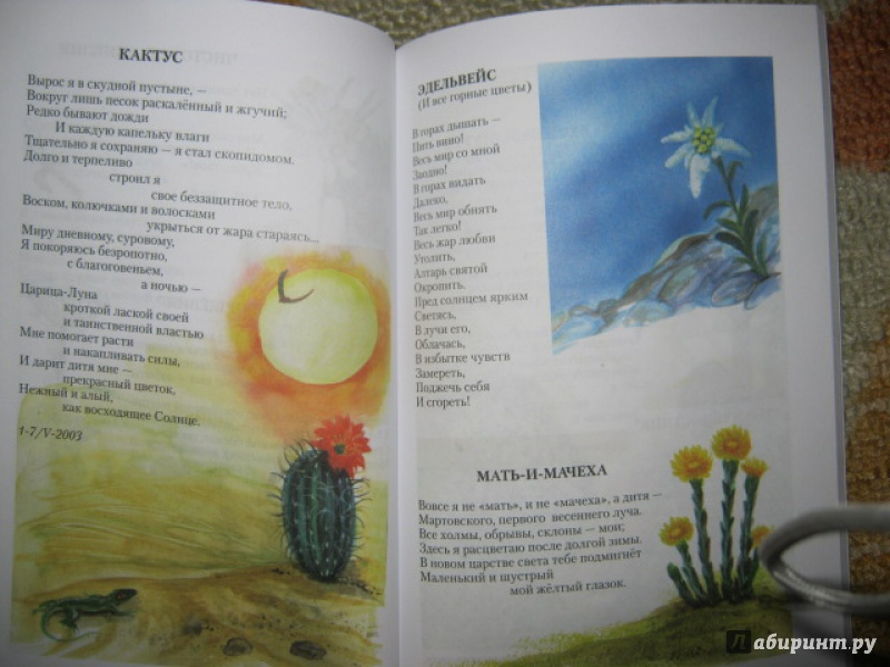 Иллюстрация 3 из 16 для Прекрасные дары флоры - Ирина Каширина | Лабиринт - книги. Источник: Евгения39