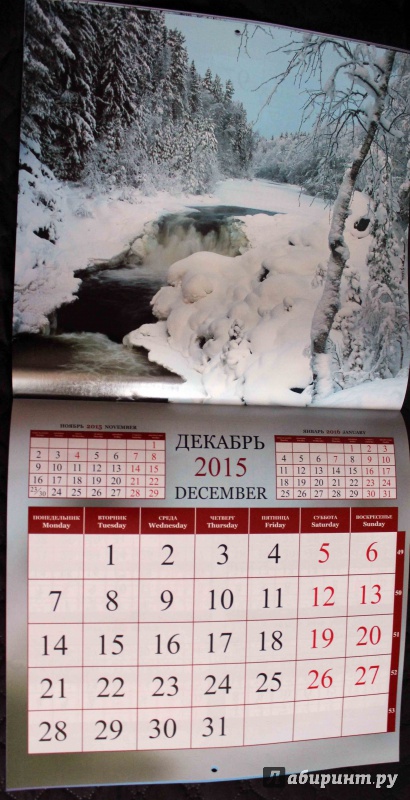 Иллюстрация 29 из 31 для Календарь 2015 "Природа России" | Лабиринт - сувениры. Источник: Batterfly
