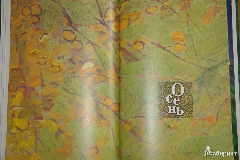 Иллюстрация 41 из 69 для Год в лесу - Иван Соколов-Микитов | Лабиринт - книги. Источник: pany_beata*