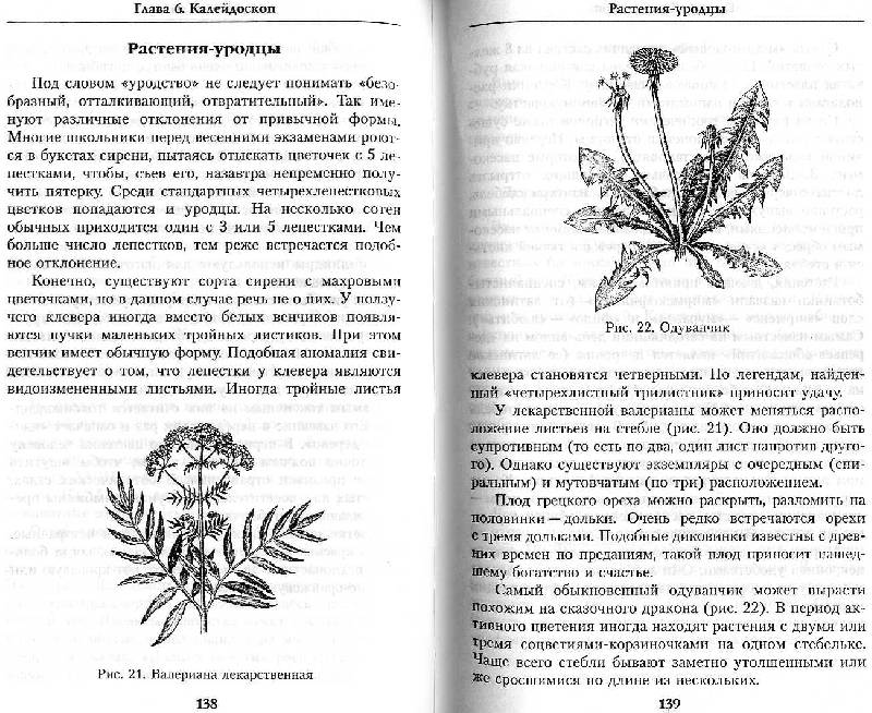 Иллюстрация 9 из 11 для Загадки царства растений - Светлана Кривушина | Лабиринт - книги. Источник: Росинка