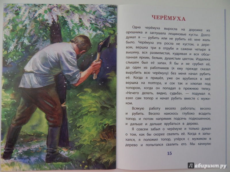 Иллюстрация 24 из 35 для Филипок - Лев Толстой | Лабиринт - книги. Источник: Мелкова  Оксана