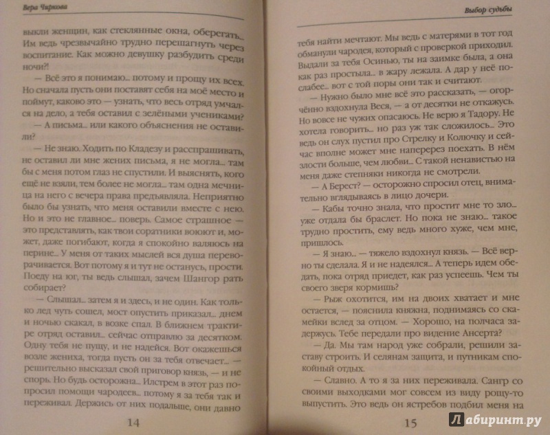 Иллюстрация 7 из 20 для Княжна из клана Куницы. Книга вторая. Выбор судьбы - Вера Чиркова | Лабиринт - книги. Источник: Katty