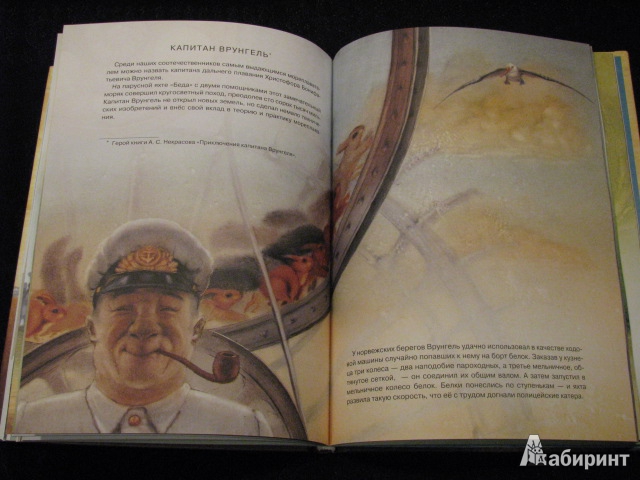Иллюстрация 12 из 61 для Сказочное мореплавание - Андрей Усачев | Лабиринт - книги. Источник: Nemertona