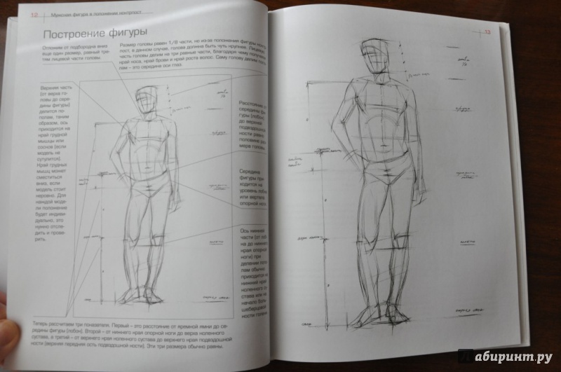Иллюстрация 3 из 23 для Как рисовать фигуру человека. Пособие для поступающих в художественные вузы - Александр Рыжкин | Лабиринт - книги. Источник: Аблакотова  Надежда