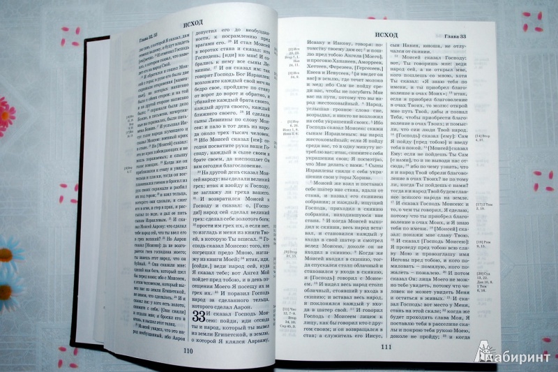 Иллюстрация 15 из 18 для Библия. Книги Священного Писания Ветхого и Нового Завета с параллельными местами и приложениями | Лабиринт - книги. Источник: BlinDash