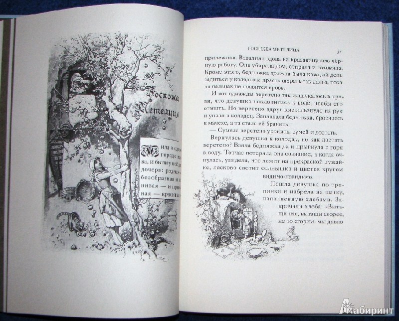 Иллюстрация 9 из 30 для Сказки - Гримм Якоб и Вильгельм | Лабиринт - книги. Источник: reader*s
