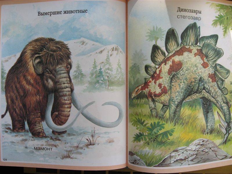Иллюстрация 17 из 35 для Животные - Мари-Рене Пимон | Лабиринт - книги. Источник: Юта