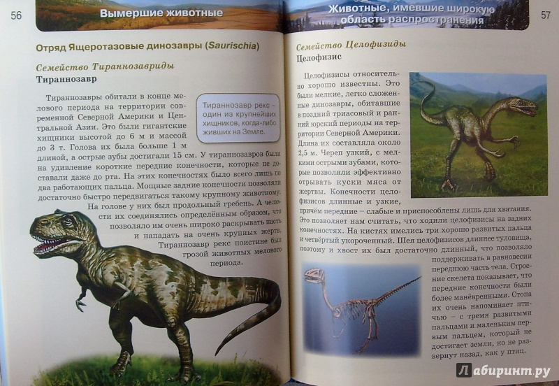 Иллюстрация 22 из 41 для Вымершие животные | Лабиринт - книги. Источник: Соловьев  Владимир