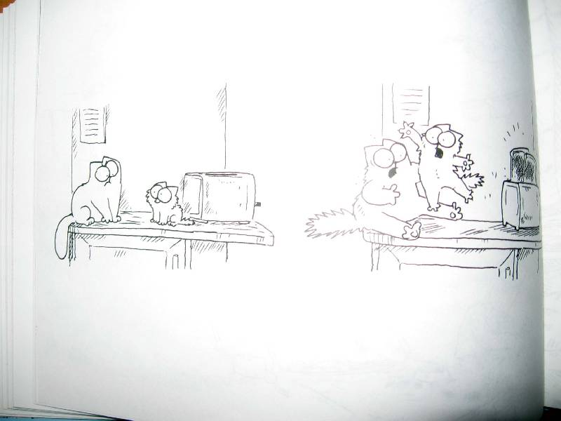 Иллюстрация 31 из 32 для Кот Саймона: Испытание котенком. Книга 3 - Саймон Тофилд | Лабиринт - книги. Источник: Red cat ;)