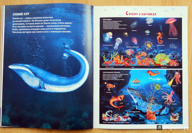 Иллюстрация 8 из 37 для Тайны подводного мира. Книжка с наклейками - Марта Петрова | Лабиринт - книги. Источник: Лабиринт