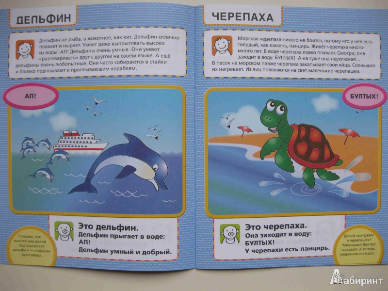 Иллюстрация 8 из 17 для Подводный мир и маленький мир - Елена Янушко | Лабиринт - книги. Источник: olga12121