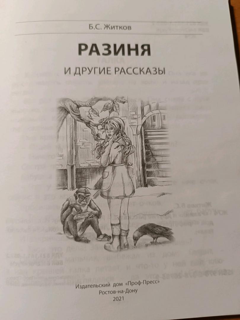 Иллюстрация 38 из 49 для Разиня и другие рассказы - Борис Житков | Лабиринт - книги. Источник: Оксана