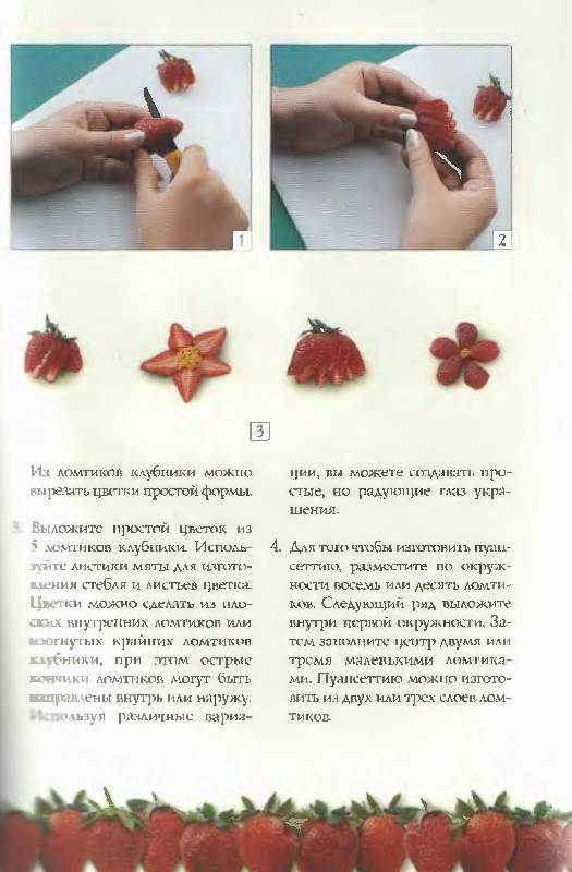 Иллюстрация 45 из 56 для Вкусные украшения из овощей, фруктов, ягод и грибов - Кикки Сихота | Лабиринт - книги. Источник: Зайчик