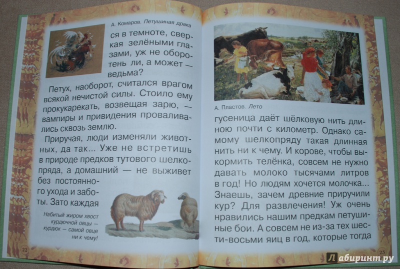 Иллюстрация 14 из 31 для Животные: помощники и друзья - Инна Гамазкова | Лабиринт - книги. Источник: Книжный кот