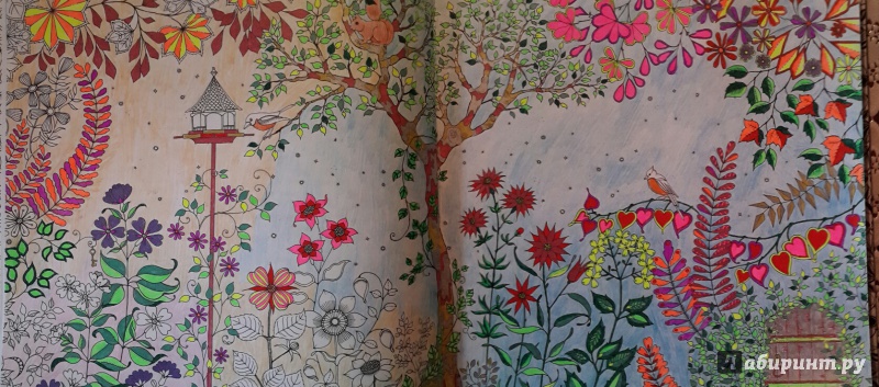 Иллюстрация 13 из 149 для Таинственный сад - Джоанна Бэсфорд | Лабиринт - книги. Источник: Ирина Потемкина