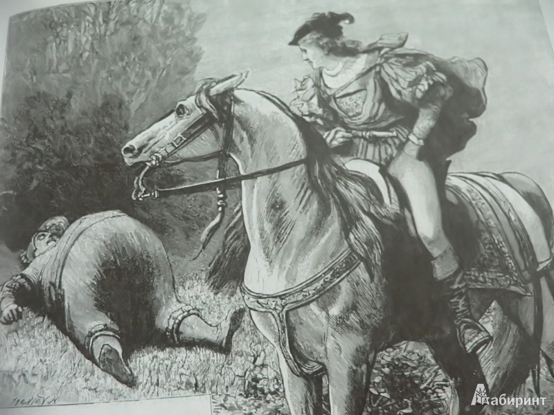Иллюстрация 8 из 95 для Сказки - Гримм Якоб и Вильгельм | Лабиринт - книги. Источник: In_Ferrum
