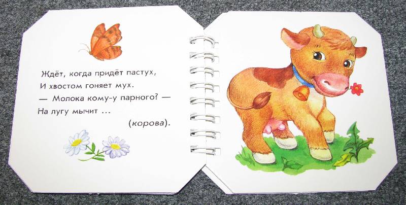 Иллюстрация 11 из 12 для Кто возле дома живёт - А. Геращенко | Лабиринт - книги. Источник: Апельсинка