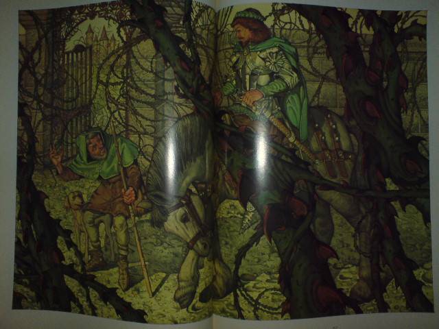 Иллюстрация 12 из 80 для Классическая коллекция сказок | Лабиринт - книги. Источник: Настёна