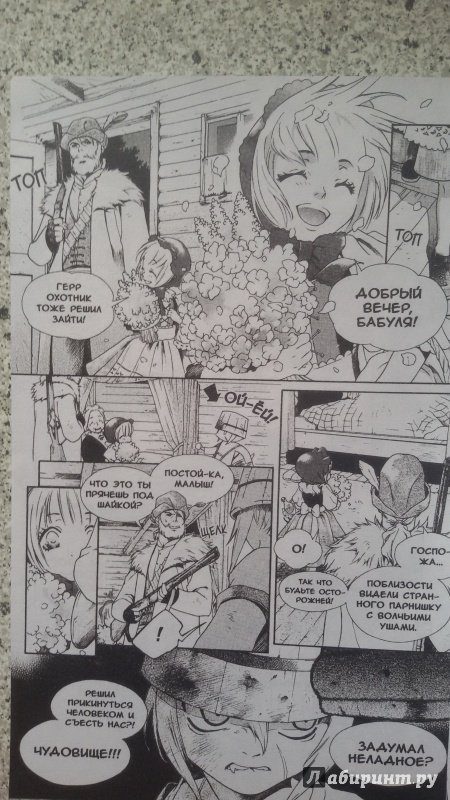 Иллюстрация 21 из 33 для Гримм-манга. Том 1 - Кей Исияма | Лабиринт - книги. Источник: Nagato