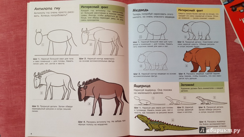 Иллюстрация 7 из 15 для Учимся рисовать. Животные | Лабиринт - книги. Источник: Ола-ола