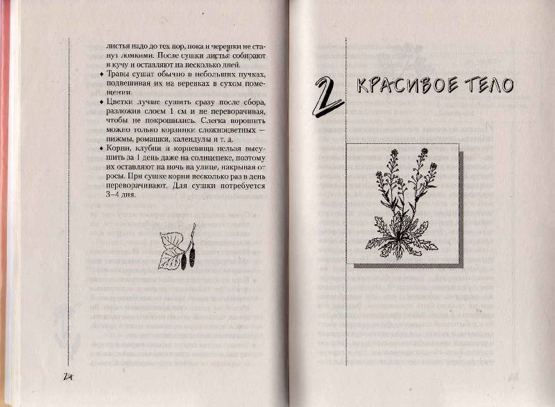 Иллюстрация 9 из 19 для Домашняя косметика на любой возраст - Таисия Левкина | Лабиринт - книги. Источник: Юта