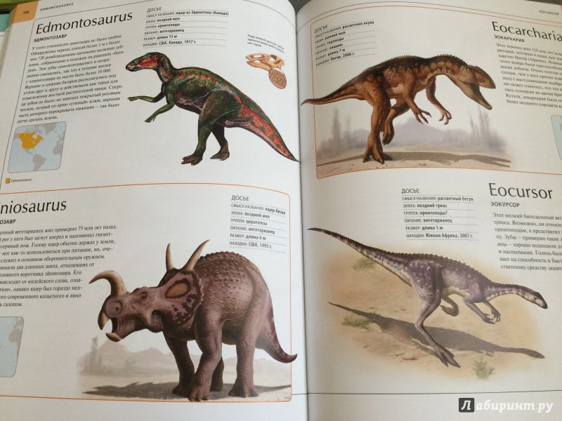 Иллюстрация 37 из 109 для Динозавры. Иллюстрированный атлас - Майкл Бретт-Шуман | Лабиринт - книги. Источник: Лабиринт