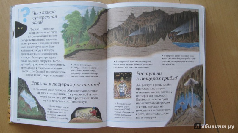Иллюстрация 15 из 22 для Большая книга "почему?" | Лабиринт - книги. Источник: Данилова  Мария Александровна