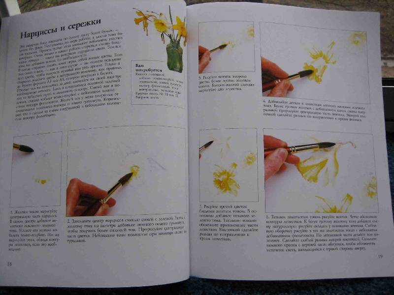 Иллюстрация 11 из 19 для Рисуем цветы акварелью - Вэнди Тейт | Лабиринт - книги. Источник: Трухина Ирина