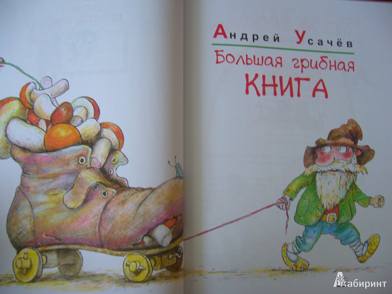 Иллюстрация 19 из 54 для Большая грибная книга - Андрей Усачев | Лабиринт - книги. Источник: Божья  Коровка