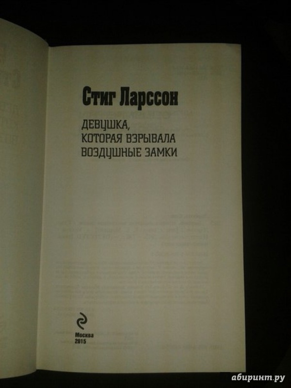 Иллюстрация 34 из 51 для Девушка, которая взрывала воздушные замки - Стиг Ларссон | Лабиринт - книги. Источник: Меринов  Кирилл