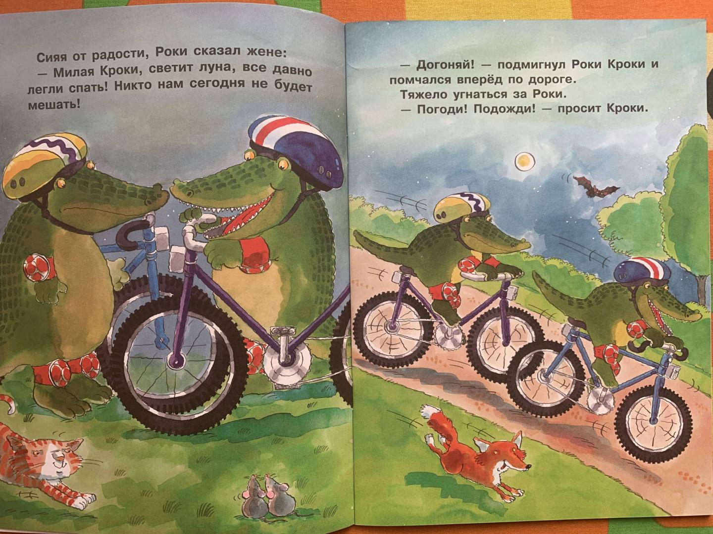 Иллюстрация 23 из 29 для Велогонщик Роки - Н. Терентьева | Лабиринт - книги. Источник: Rosa_Sveta