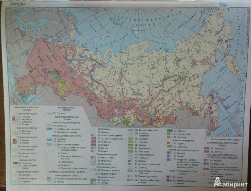 Иллюстрация 4 из 17 для География России. 8-9 классы. Атлас с комплектом контурных карт. ФГОС | Лабиринт - книги. Источник: mariaa