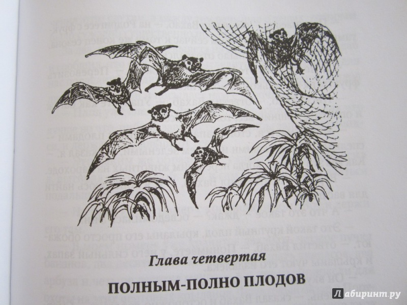 Иллюстрация 18 из 49 для Золотые крыланы и розовые голуби - Джеральд Даррелл | Лабиринт - книги. Источник: ЮлияО
