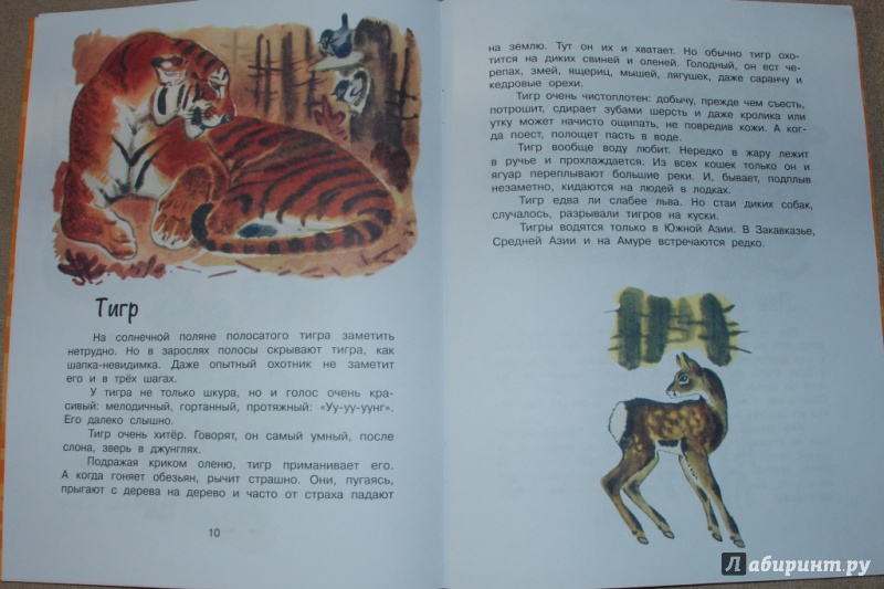 Иллюстрация 8 из 39 для Это все кошки - Игорь Акимушкин | Лабиринт - книги. Источник: Книжный кот
