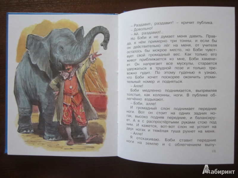 Читательский дневник про слона. Рассказы о животных Мои звери Дуров.