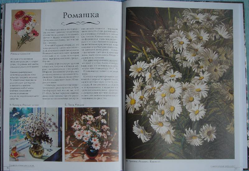 Иллюстрация 30 из 44 для Самые красивые цветы мира | Лабиринт - книги. Источник: Lisafox