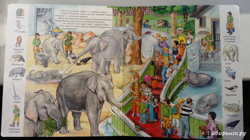 Иллюстрация 25 из 35 для В зоопарке | Лабиринт - книги. Источник: Шарова  Валентина Николаевна