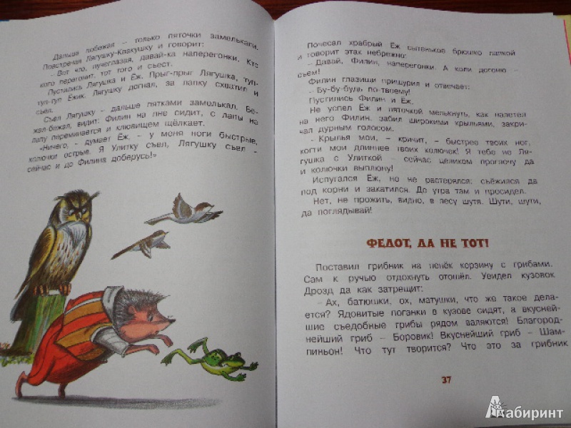 Иллюстрация 3 из 7 для Бежал ёжик по дорожке. Сказки - Николай Сладков | Лабиринт - книги. Источник: Rahshani  Inna