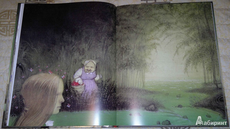 Иллюстрация 33 из 40 для Дикие лебеди - Ганс Андерсен | Лабиринт - книги. Источник: Спящая на ходу